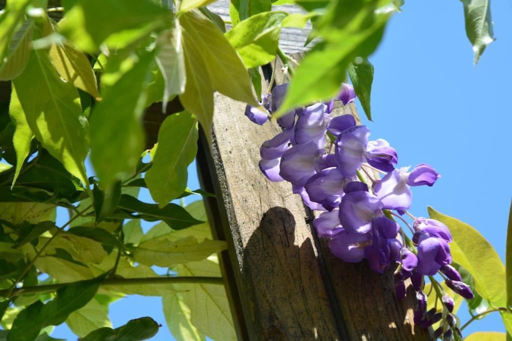 Holiday home Maisonnette En Provence Climatisee, Wifi, Parking